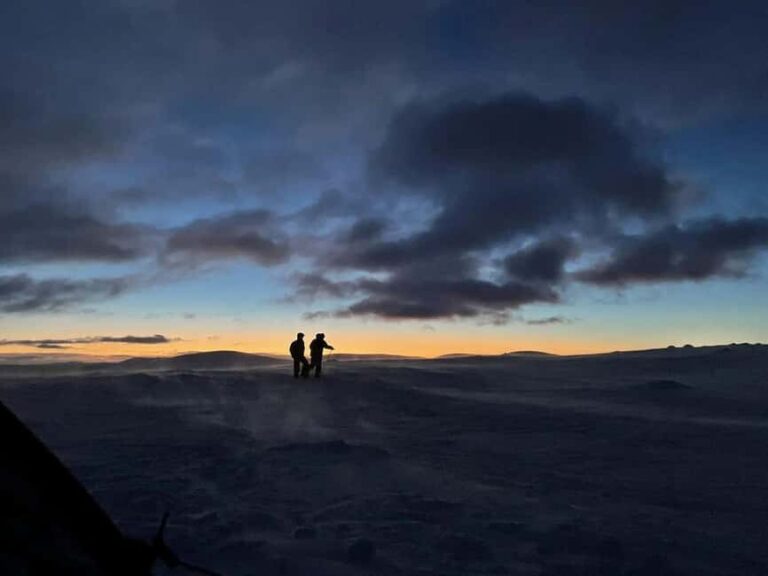 Sälen: Northern Lights Snowshoe Adventure with Pickup - Analyzing the Value