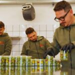 Salerno: Oleoteca Visit with Extra Virgin Olive Oil Tasting - Why It’s a Good Fit