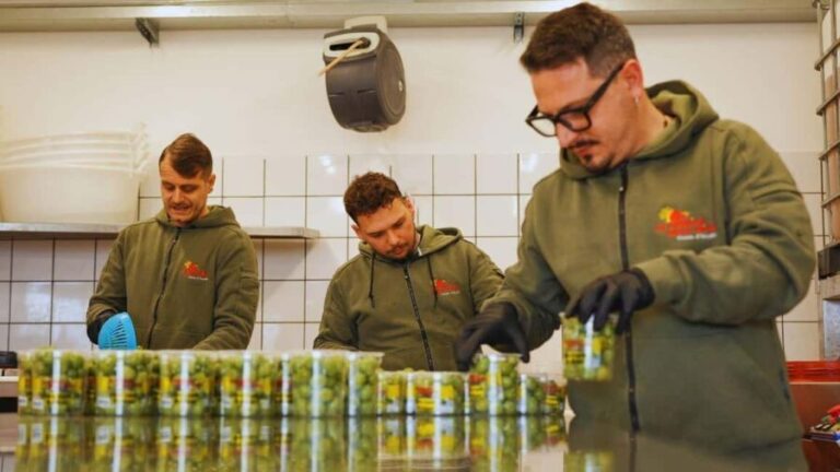 Salerno: Oleoteca Visit with Extra Virgin Olive Oil Tasting - Why It’s a Good Fit