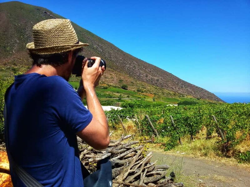 Salina: Private tour of the Aeolian Islands' greenest island - Price & Value