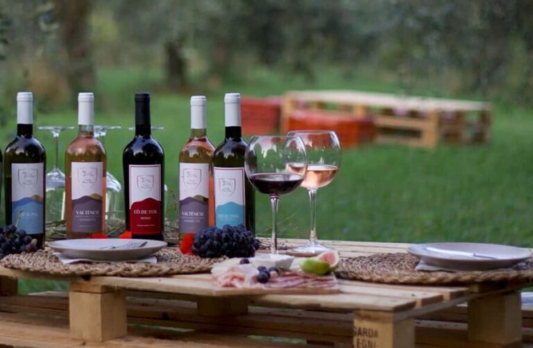 Salò: Winery Tour with Wine and Food Tasting near Lake Garda - Who Should Consider This Tour?