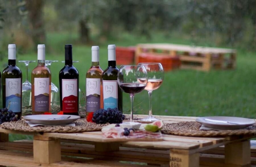 Salò: Winery Tour with Wine and Food Tasting near Lake Garda - Who Should Consider This Tour?