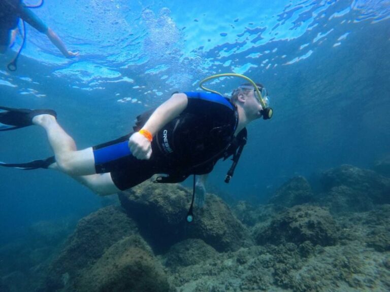 Salou: Scuba Diving for Beginners - What Travelers Say — Real Feedback from Reviews