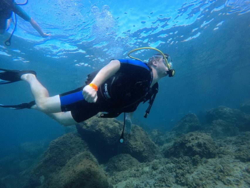Salou: Scuba Diving for Beginners - What Travelers Say — Real Feedback from Reviews
