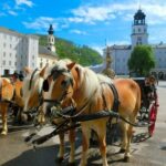 Salzburg Small-Group Day Trip from Vienna - Who Is This Tour Best For?