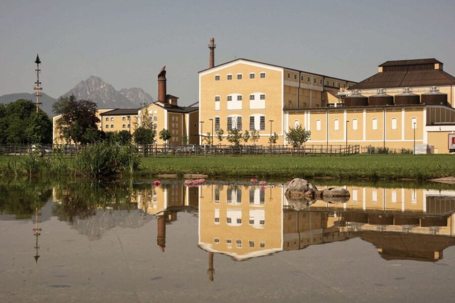 Salzburg: Stiegl Brewery Tour with Beer Tasting - The Value and Overall Experience