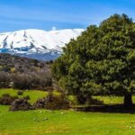 Samaria Long Way from Rethymno - What Makes This Tour Stand Out