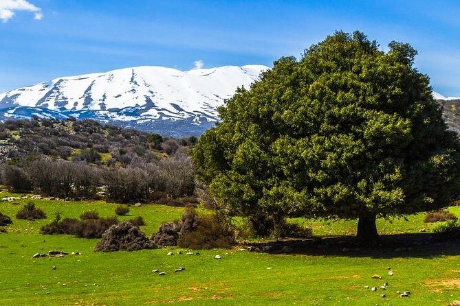 Samaria Long Way from Rethymno - What Makes This Tour Stand Out