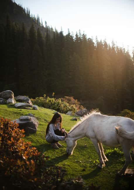 Samegrelo, Georgia: A 4-Hour Horseback Adventure - What to Expect During the Ride