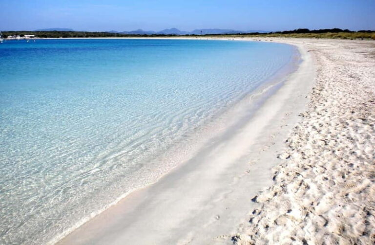 San Antonio: Es Vedrà, Formentera Tour with Food & Drinks - Practical Considerations