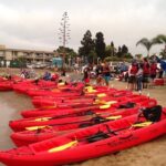 San Diego Bay 1.5-Hour Guided Kayak Tour in Coronado - The Pros and Cons