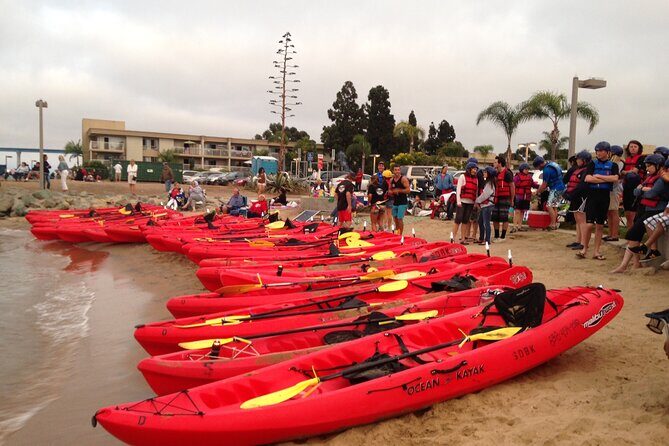 San Diego Bay 1.5-Hour Guided Kayak Tour in Coronado - The Pros and Cons