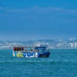 San Diego Seal Tour - Who Is This Tour Best For?