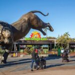 San Diego Zoo 1-Day Pass: Any Day Ticket - How the Experience Feels