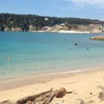 San Domino, Tremiti: Guided dives around Tremiti Islands - The Experience Itself: What You Can Expect