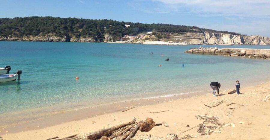 San Domino, Tremiti: Guided dives around Tremiti Islands - The Experience Itself: What You Can Expect