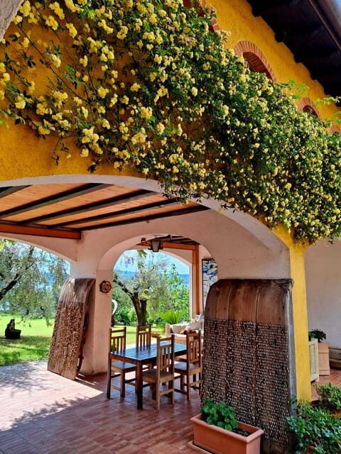 San Felice: Olive Oil Tasting with local food on Garda Hills - The Tasting Options: Traditional vs. Special