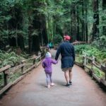 San Francisco Super Saver: Muir Woods & Wine Country w/ optional Gourmet Lunch - What Travelers Love (and Don’t)