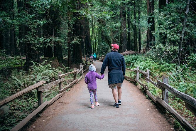 San Francisco Super Saver: Muir Woods & Wine Country w/ optional Gourmet Lunch - What Travelers Love (and Don’t)