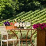 San Gimignano: Chianti wine tasting and lunch - Key Points