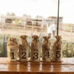 San Gimignano: five wines, one challenge, blind tasting - The Experience in Detail