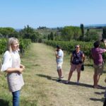 San Gimignano: Premium Wine Tour with Lunch - Who is This Tour Best For?