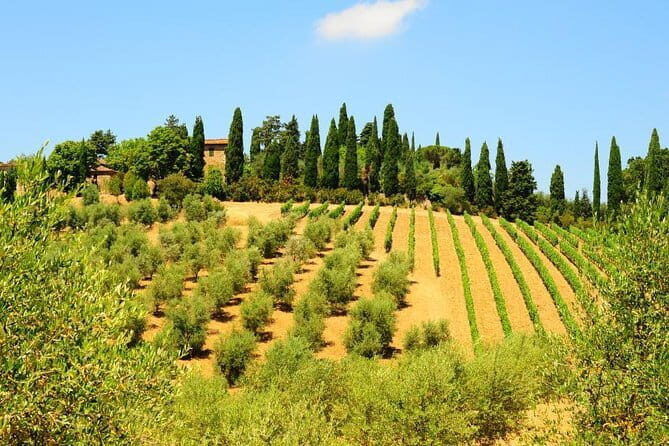 San Gimignano, Siena, Monteriggioni: Fully Escorted Tour, Lunch & Wine Tasting - FAQs