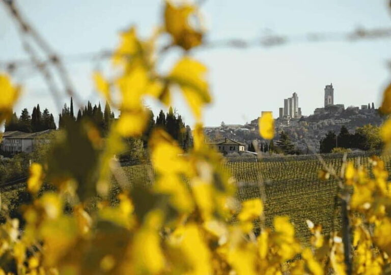 San Gimignano: Wine Tasting Experience at Il Colombaio - What to Expect During Your Visit