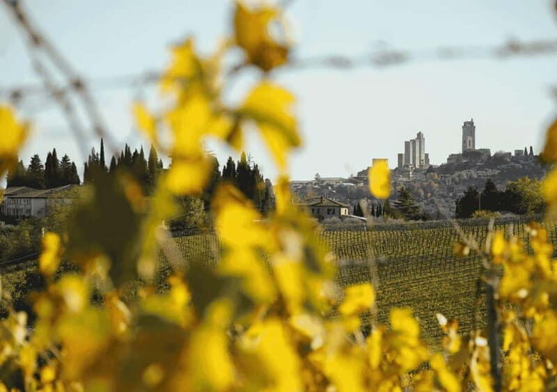 San Gimignano: Wine Tasting Experience at Il Colombaio - What to Expect During Your Visit
