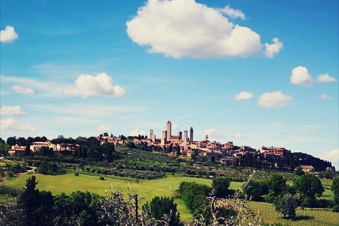 San Gimignano with lunch and wine tasting on a local winery - What to Expect from the Itinerary
