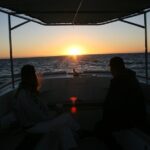 San Jose del Cabo Small-Group Sunrise Whale Watching - Price and Value