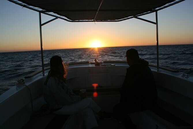 San Jose del Cabo Small-Group Sunrise Whale Watching - Price and Value