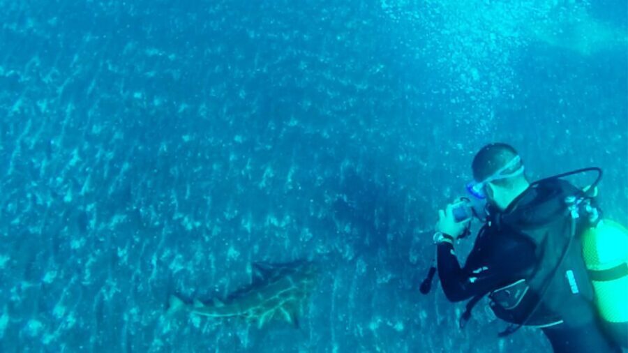 San Miguel de Abona: 2Dive Package - What to Expect During Your Dives