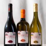 San Miniato: Organic Wine Tasting Experience in Tuscany Pisa - Who Will Love This Tour?