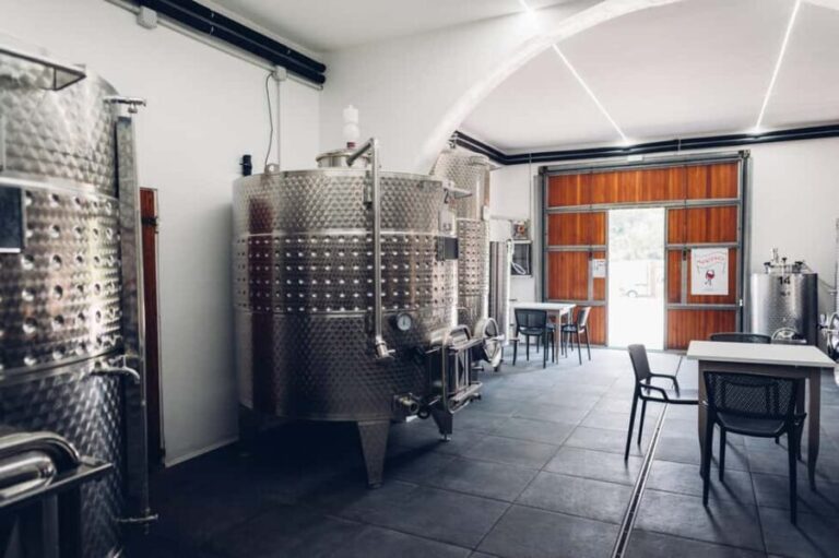San Miniato: Wine Tour in a Family-Run Tuscan Winery - Who Should Consider This Tour?