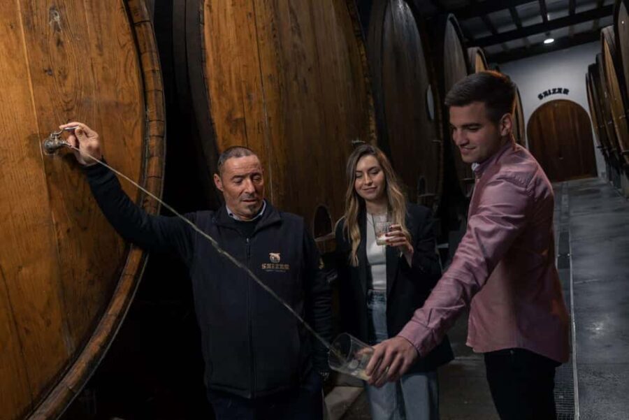 San Sebastian: Culture and Gastronomy Guided E-Bike Tour - Who Should Consider This Tour?