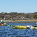 Sandhill Crane Kayak Tour with Chattanooga Guided Adventures - The Value of the Experience