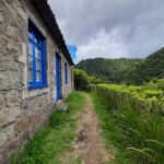 Sanguinho Hike & Furnas Hot Springs Experience - What Makes This Tour Stand Out?