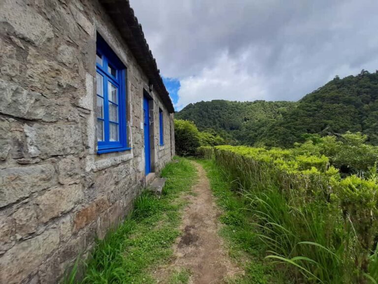 Sanguinho Hike & Furnas Hot Springs Experience - What Makes This Tour Stand Out?