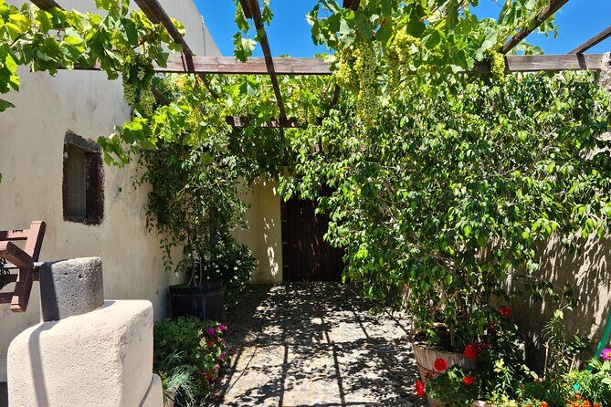 Sanotini Oia Wine Tasting and Local Places Half Day Tour - What’s Included and What to Expect