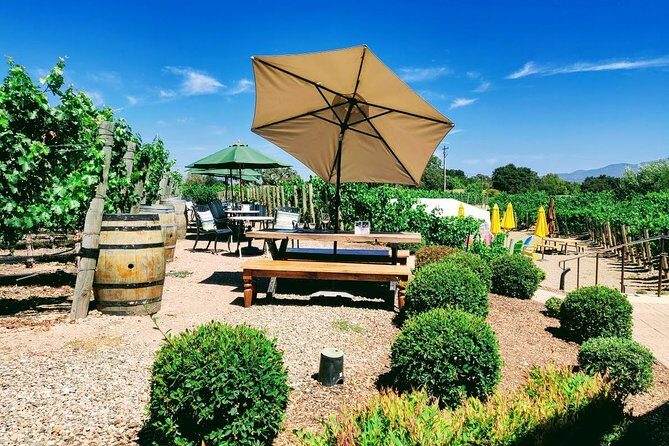 Santa Barbara Wine Tasting Day Tour from Los Angeles - Authentic Perspectives from Travelers