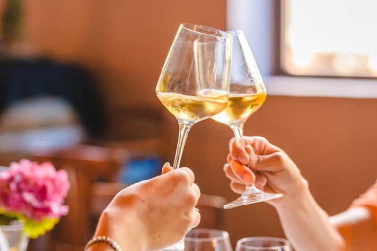 "Santa Chiara" wine tasting - Palagetto winery - The Wines: White and Red Varieties