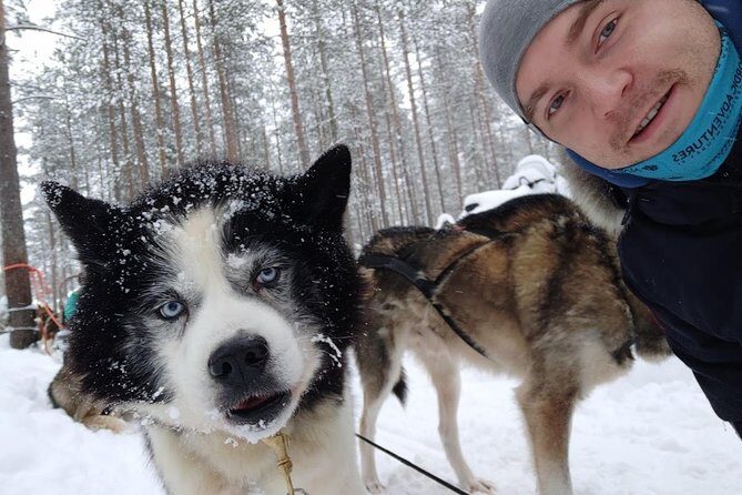 Santa Claus Village Guided Tour & Arctic Animals Adventure - Why This Tour Works Well