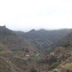 Santa Cruz de Tenerife: 2-Hour Hiking Tour in Anaga Forest - Exploring Anaga Forest: What You Can Expect