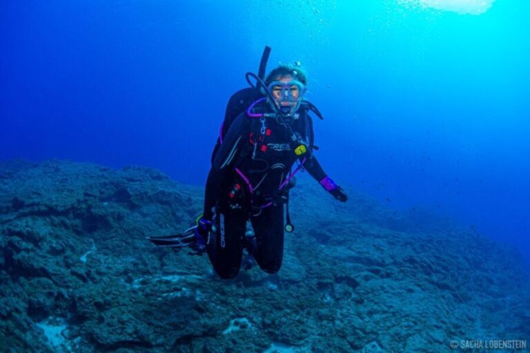 Santa Cruz de Tenerife: Advanced introductory course - The Dive Experience in Detail