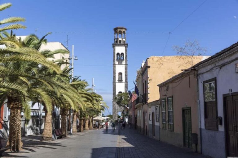 Santa Cruz de Tenerife: walking tour with an expert local guide - The Experience in Detail