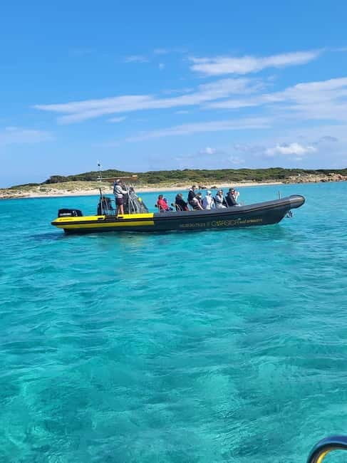 Santa-Giulia: Half-day trip, Lavezzi Islands and Bonifacio cliffs - The Experience of the Stops