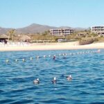 Santa Maria and Chileno Bay Snorkel Adventure Los Cabos - The Pros and Cons