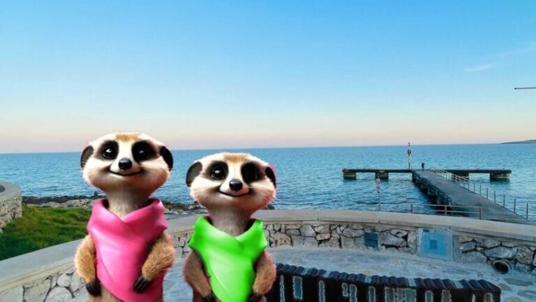 Santa Ponca: The Magical Creatures of SantaPonca,family game - The Practicalities