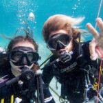 Santa Ponsa: Try Scuba Diving in a Marine Reserve - The Itinerary in Detail